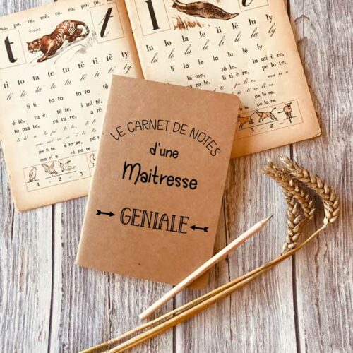 Carnet kraft maitresse géniale