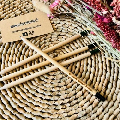 Crayon-a-planter-De-beaux-souvenirs-a-planter