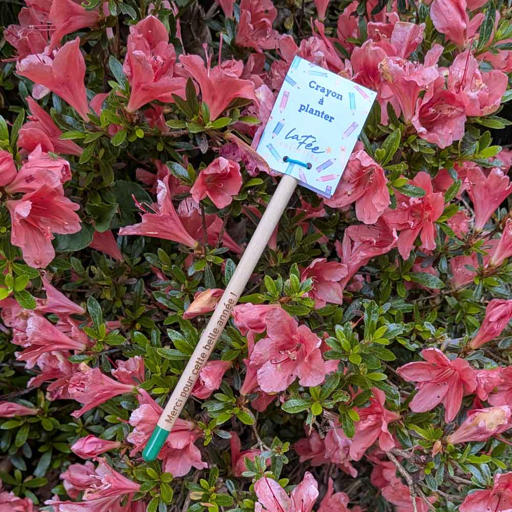 Crayon à planter- Merci