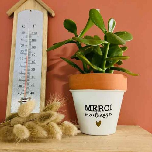 Pot de fleurs Merci Maitresse