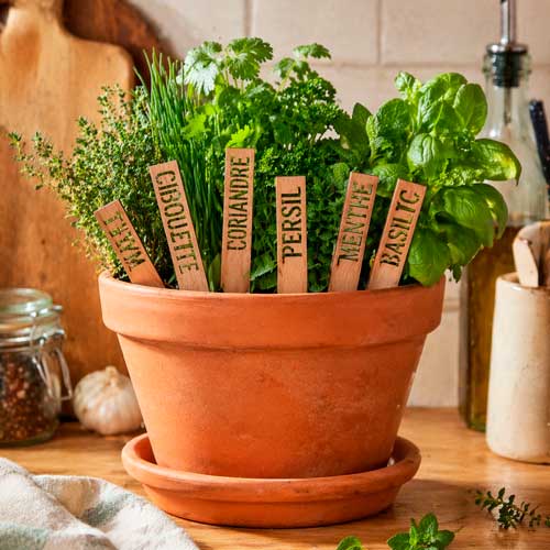 Etiquettes aromatiques en bois à personnaliser